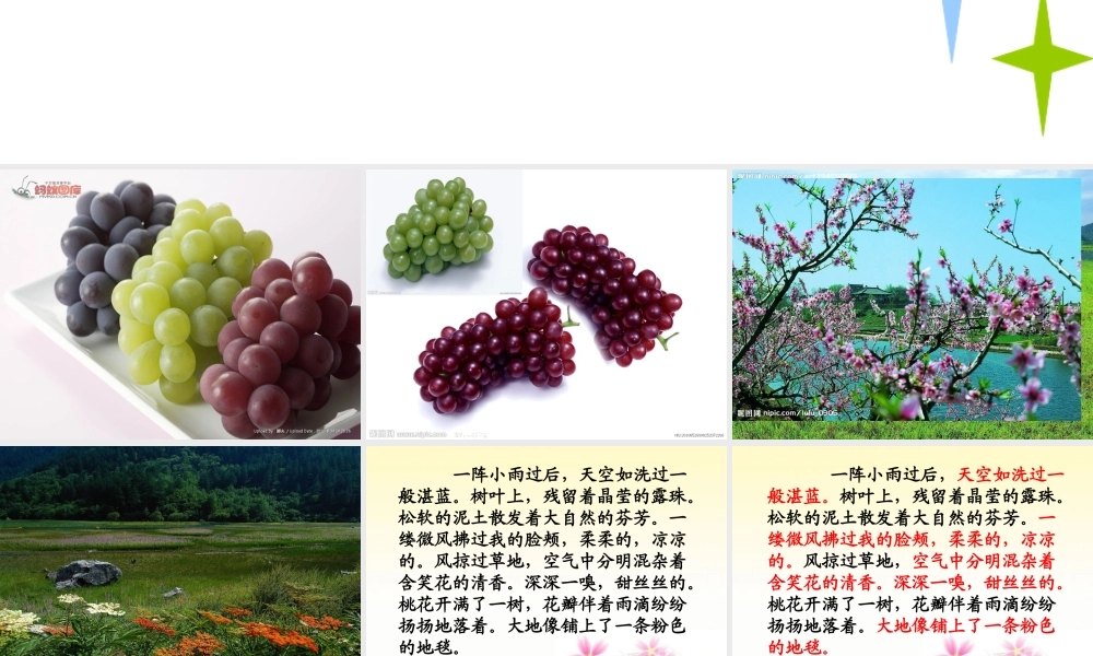 小学六年级作文（猪猪喜羊羊）.ppt