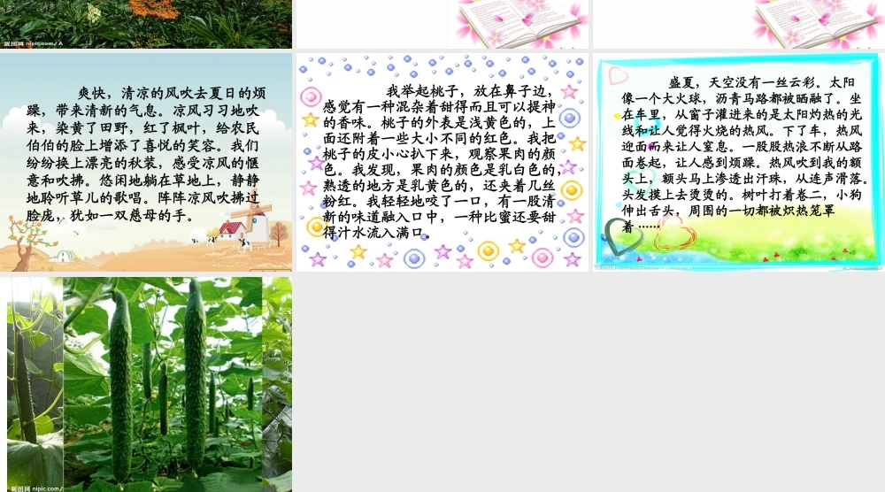 小学六年级作文（猪猪喜羊羊）.ppt