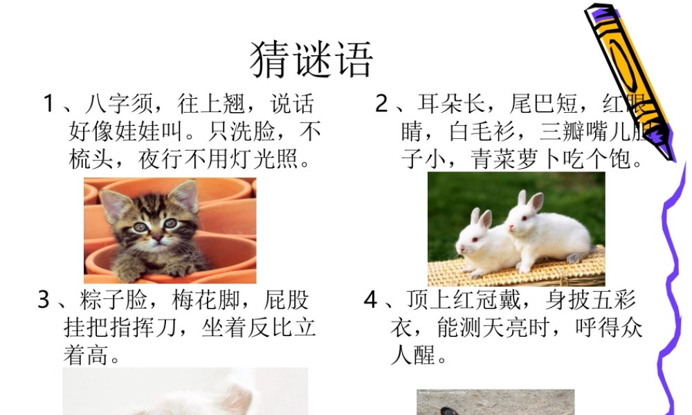 小学四年级作文我喜欢的小动物（猪猪喜羊羊）.ppt