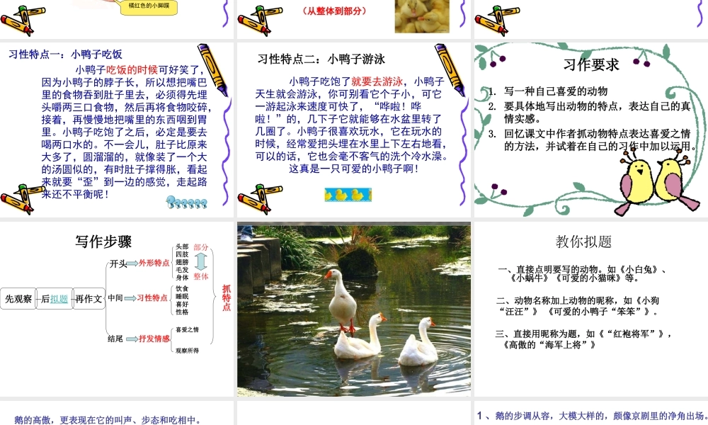 小学四年级作文我喜欢的小动物（猪猪喜羊羊）.ppt