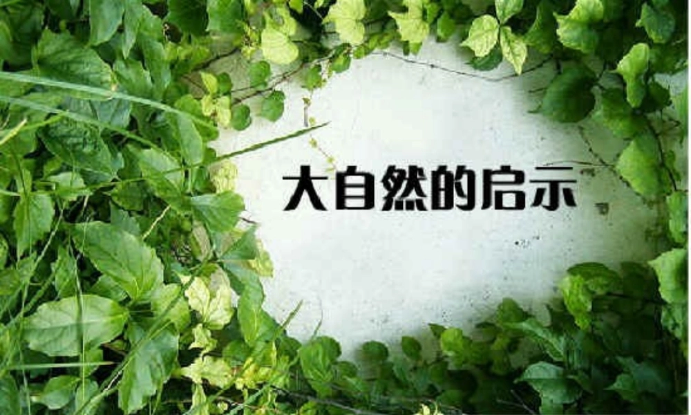 小学四年级作文大自然的启示（猪猪喜羊羊）.ppt