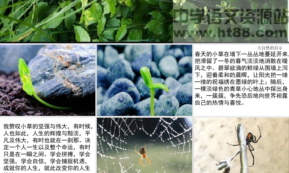 小学四年级作文大自然的启示（猪猪喜羊羊）.ppt