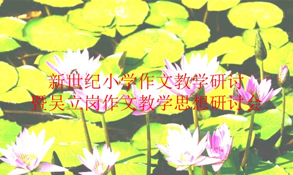 小学一年级语文新世纪小学作文教学研讨（猪猪喜羊羊）.ppt