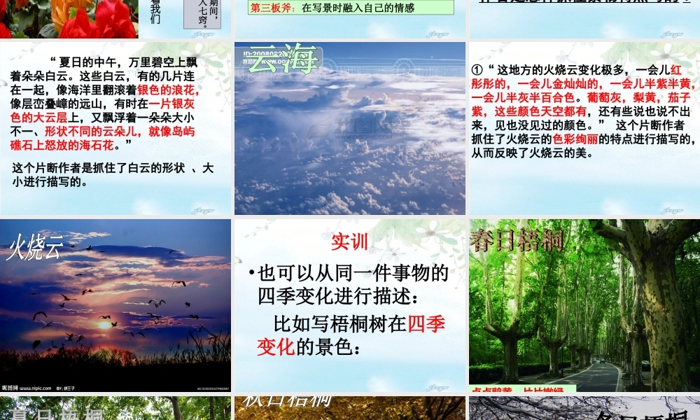 杨璇廖嘉悦___五年级__作文（猪猪喜羊羊）.ppt