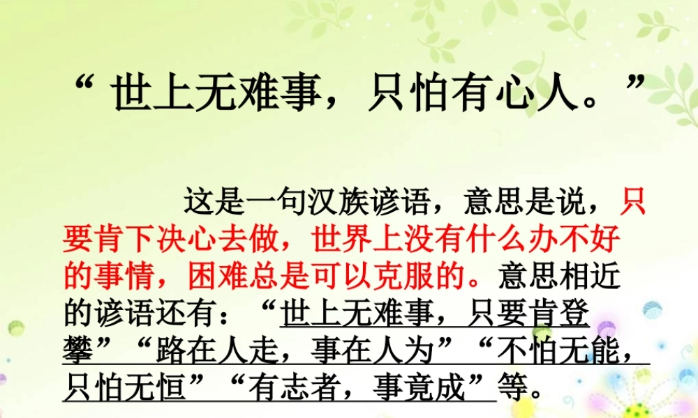 杨中小五年级综合四作文（猪猪喜羊羊）.ppt