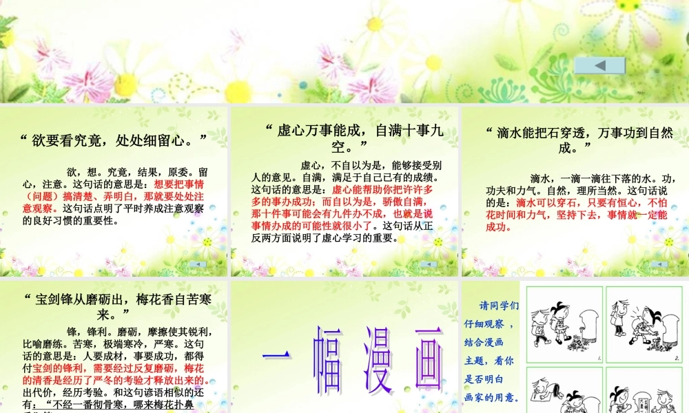 杨中小五年级综合四作文（猪猪喜羊羊）.ppt