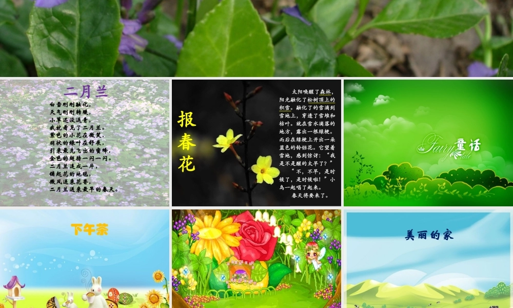 一年级作文阅读指导课件第二课（猪猪喜羊羊）.ppt