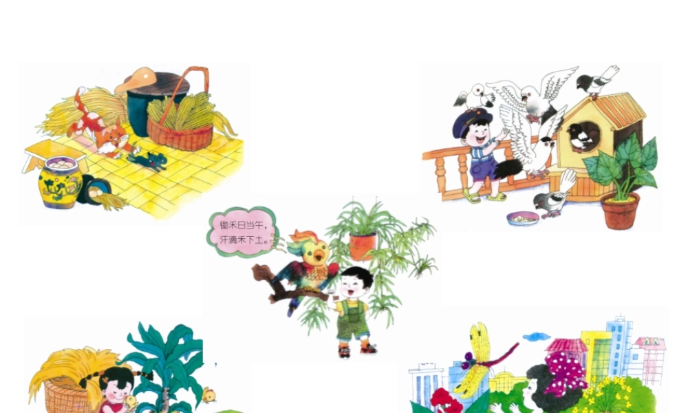 一年级二年级三年级看图作文（猪猪喜羊羊）.ppt