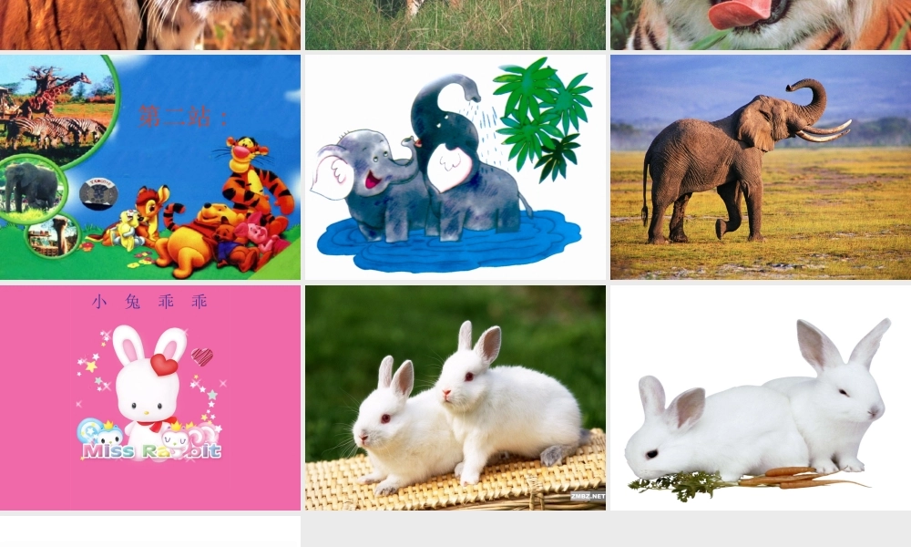 一年级二年级三年级看图作文（猪猪喜羊羊）.ppt