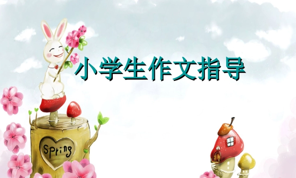 小学生作文指导(1).ppt