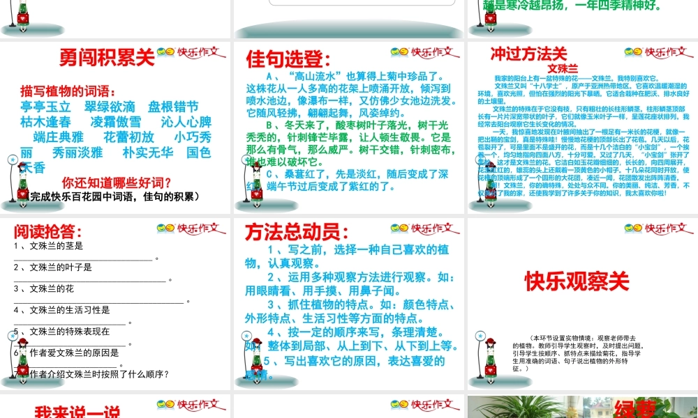 三年级介绍一种植物.pptx