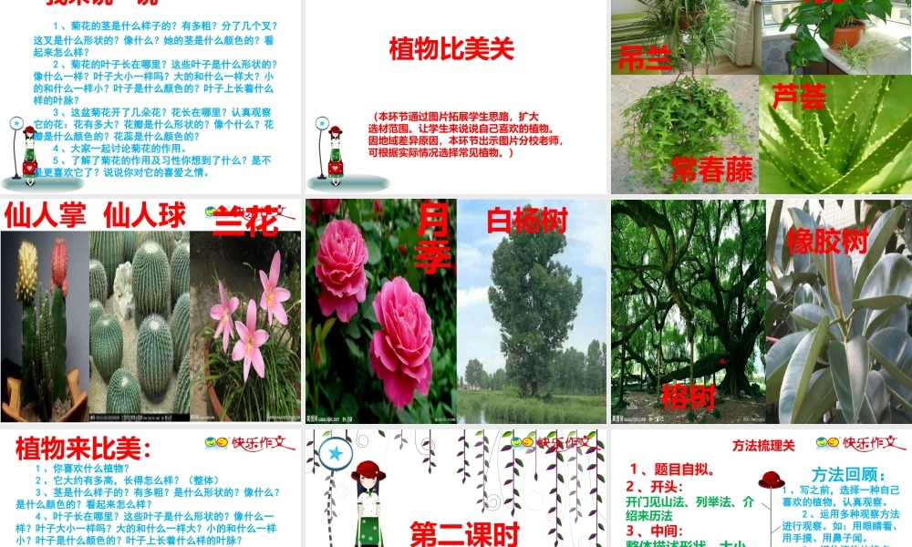 三年级介绍一种植物.pptx