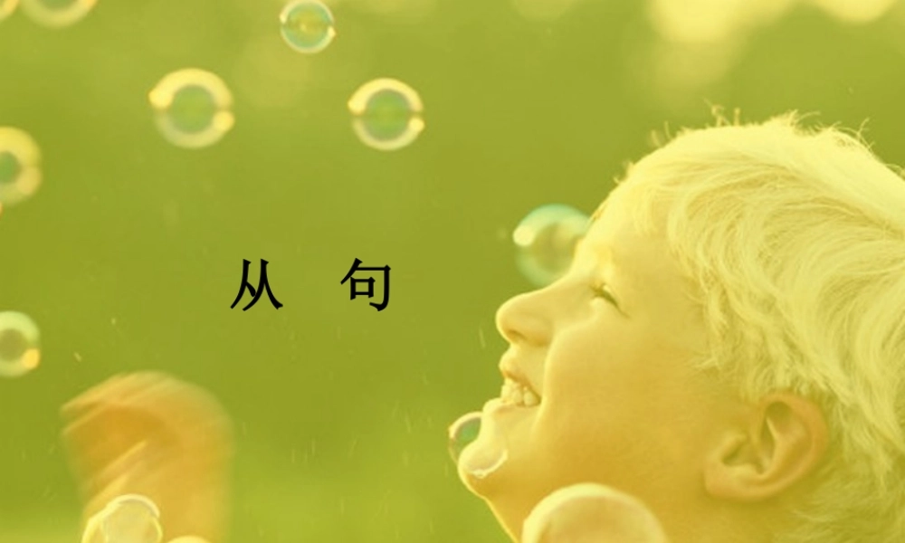 大学英语从句.ppt