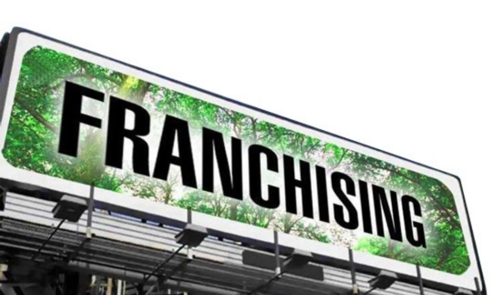 Unit Fourteen Franchising2011.ppt