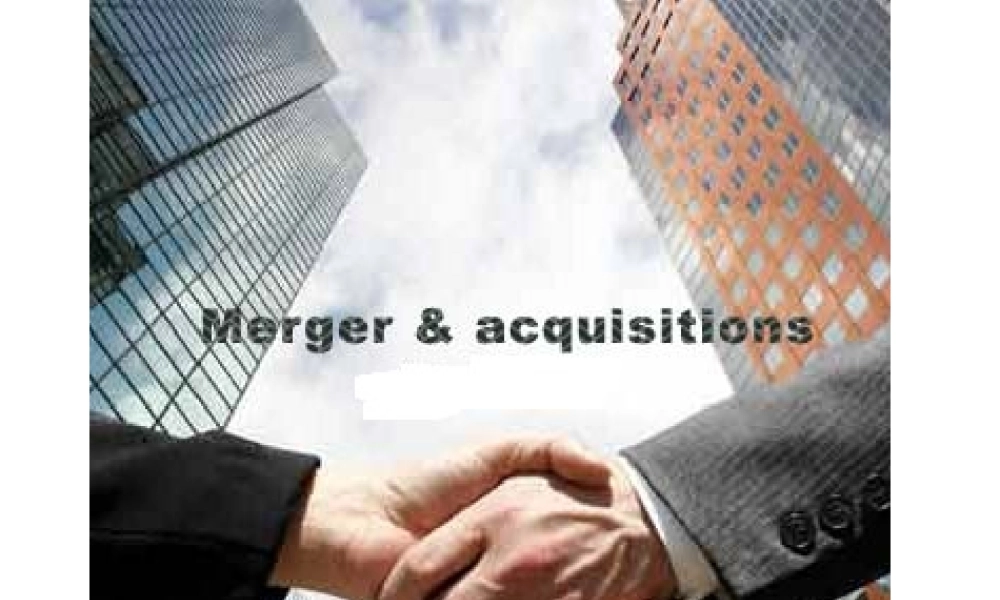 Unit Thirteen Mergers and Acquisitions2011.ppt