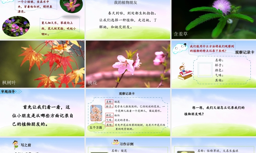 01第一单元习作课件：我的植物朋友.ppt