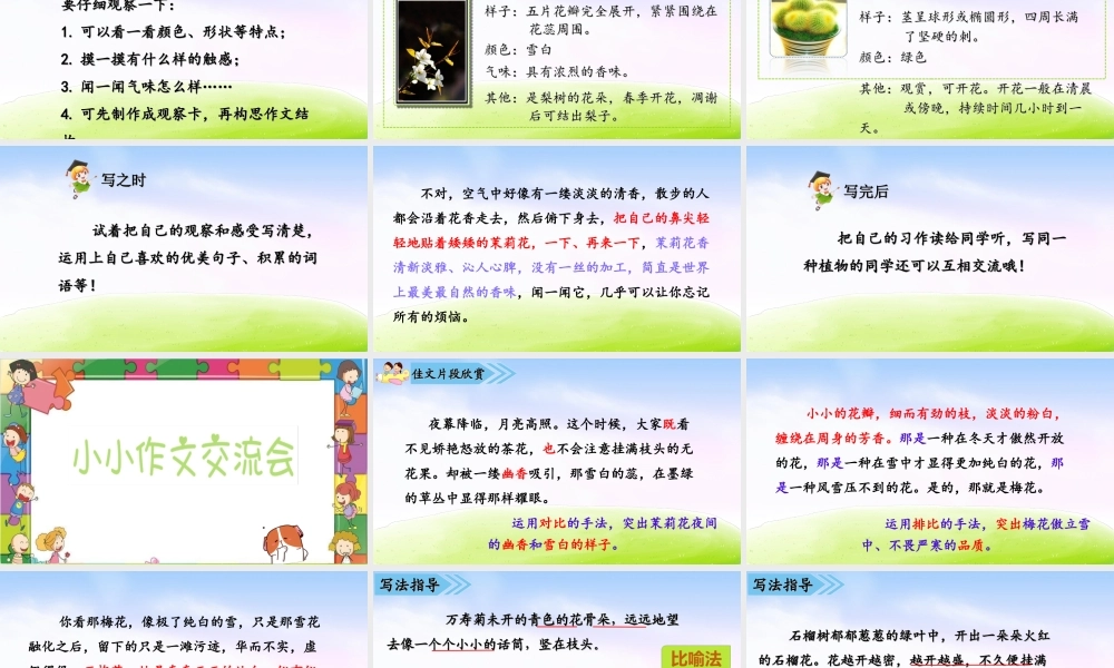 01第一单元习作课件：我的植物朋友.ppt