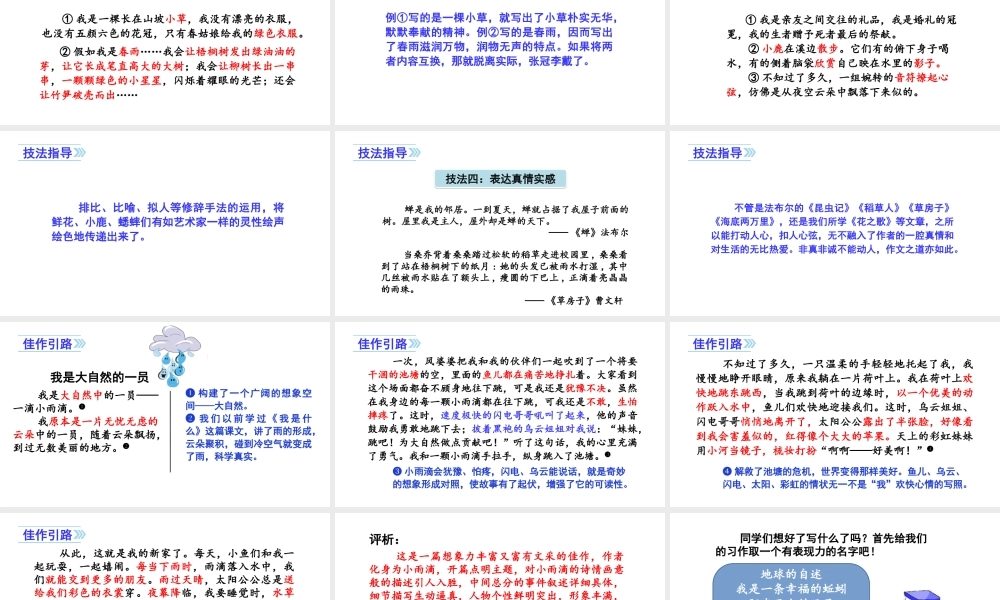 1第一单元习作变形记 .ppt