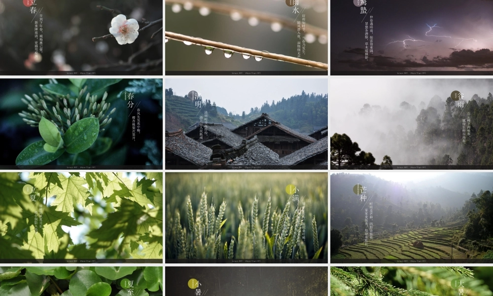 【4】二十四节气模板.pptx