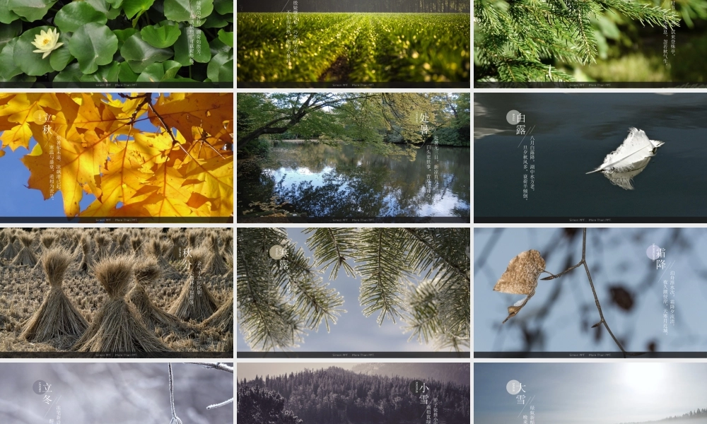 【4】二十四节气模板.pptx