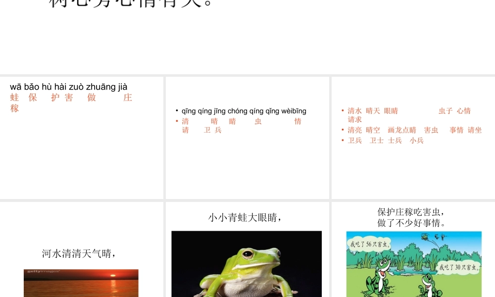 3、《小青蛙》课件2.ppt