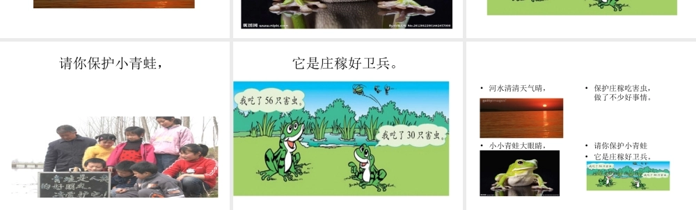 3、《小青蛙》课件2.ppt