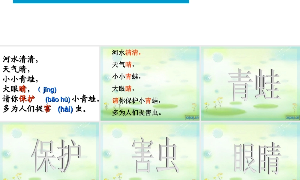 3、《小青蛙》课件3.ppt