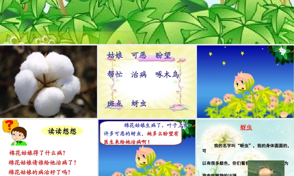 19.棉花姑娘.ppt