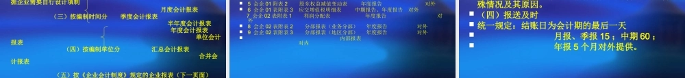 第十章财务会计报告(1).ppt