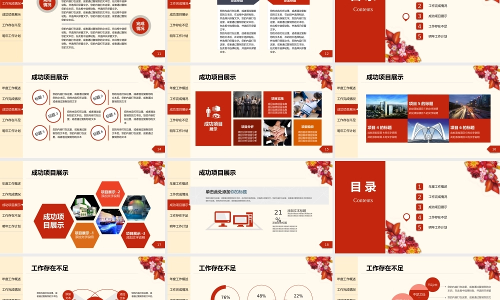 工作汇报 年终总结——亮亮图文 (13).pptx