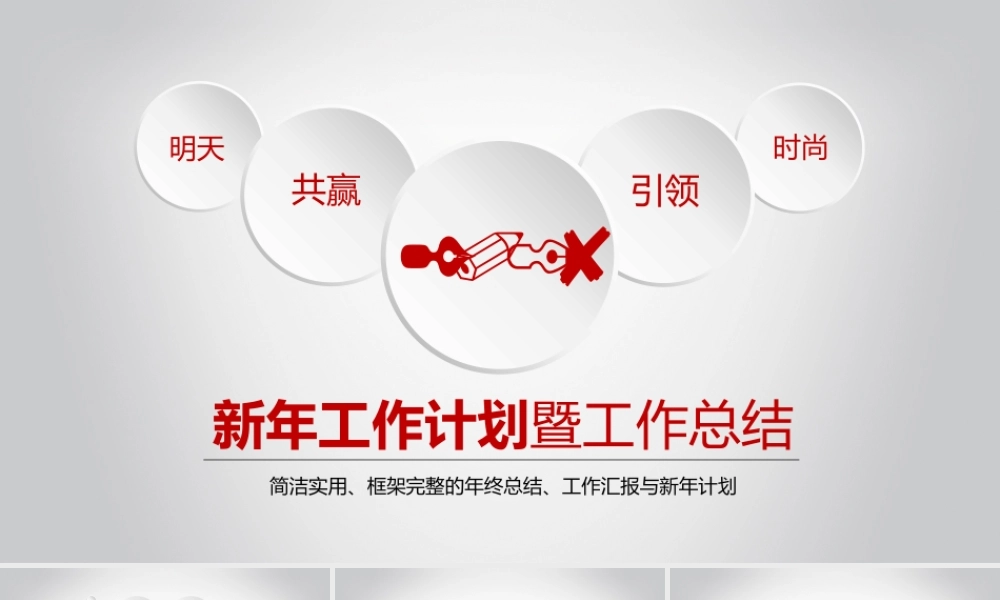 工作汇报 年终总结——亮亮图文 (38).pptx