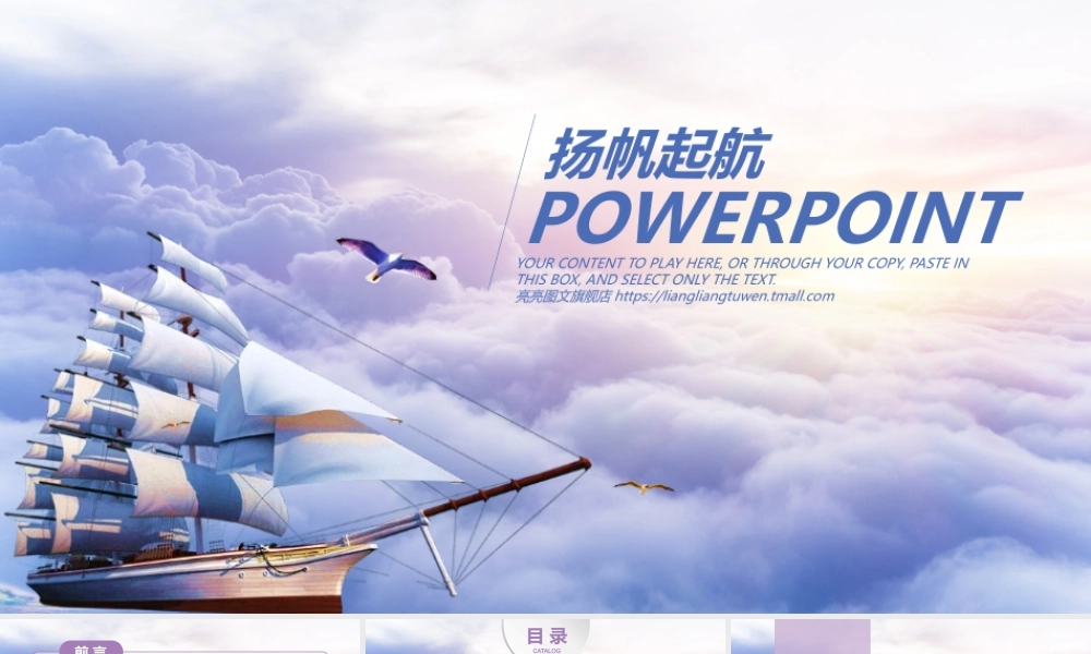 工作汇报 年终总结——亮亮图文 (165).pptx