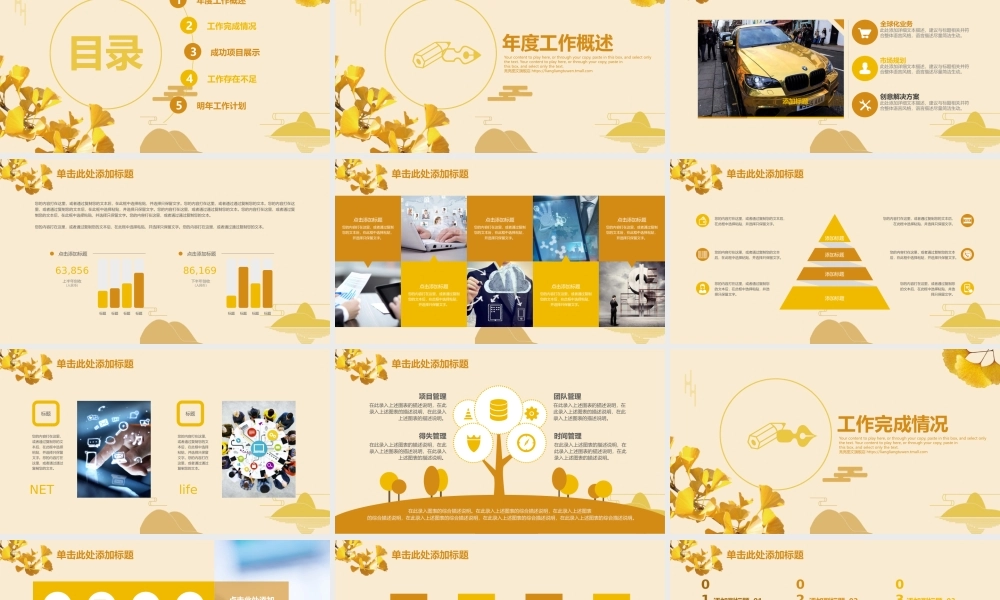 工作汇报 年终总结——亮亮图文 (177).pptx