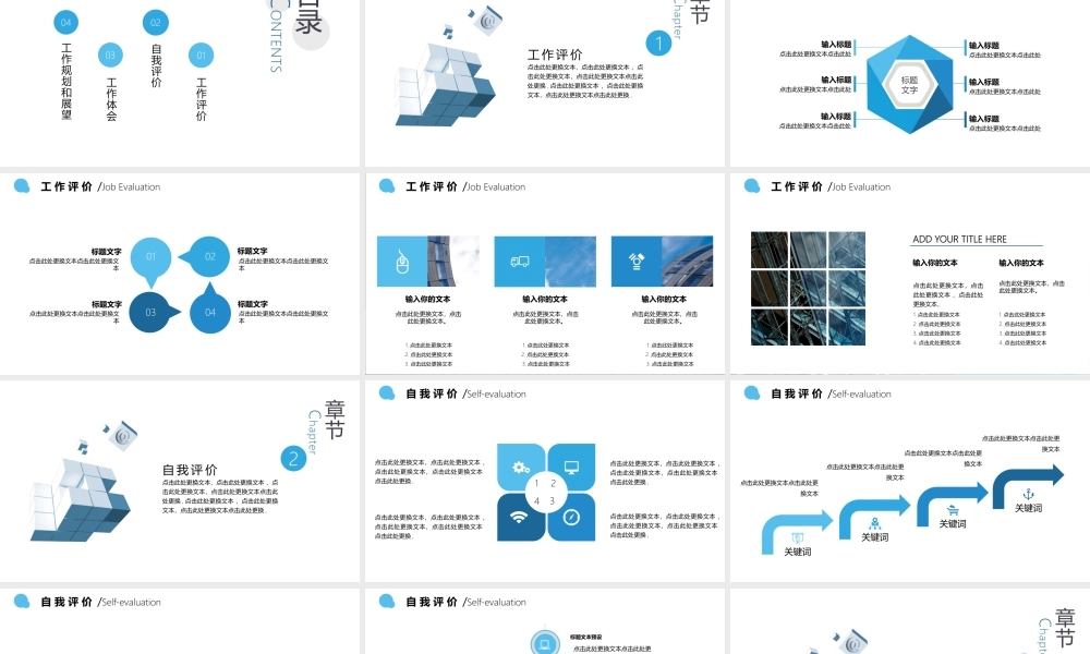 工作总结1 (12).pptx