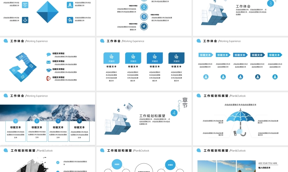 工作总结1 (12).pptx