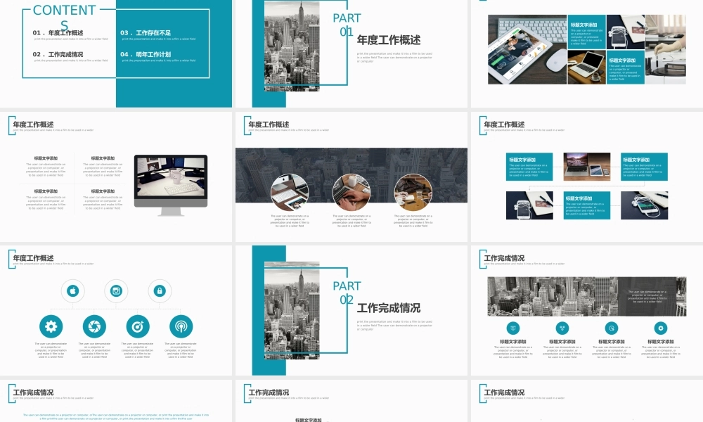 工作总结1 (20).pptx