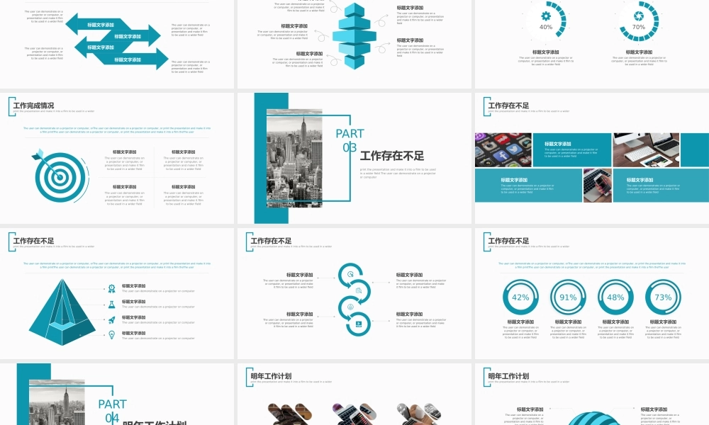 工作总结1 (20).pptx