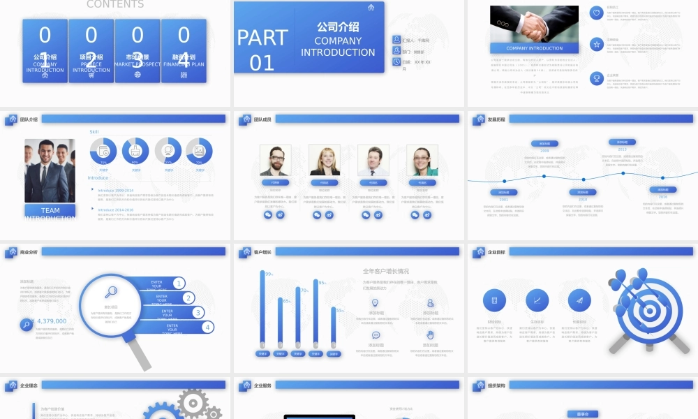 工作总结1 (24).pptx