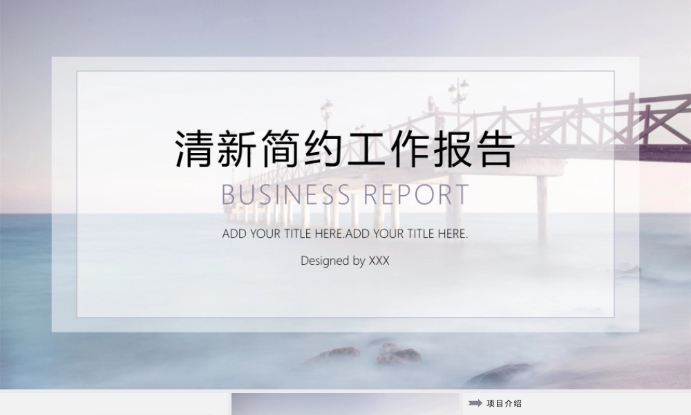 工作总结1 (30).pptx