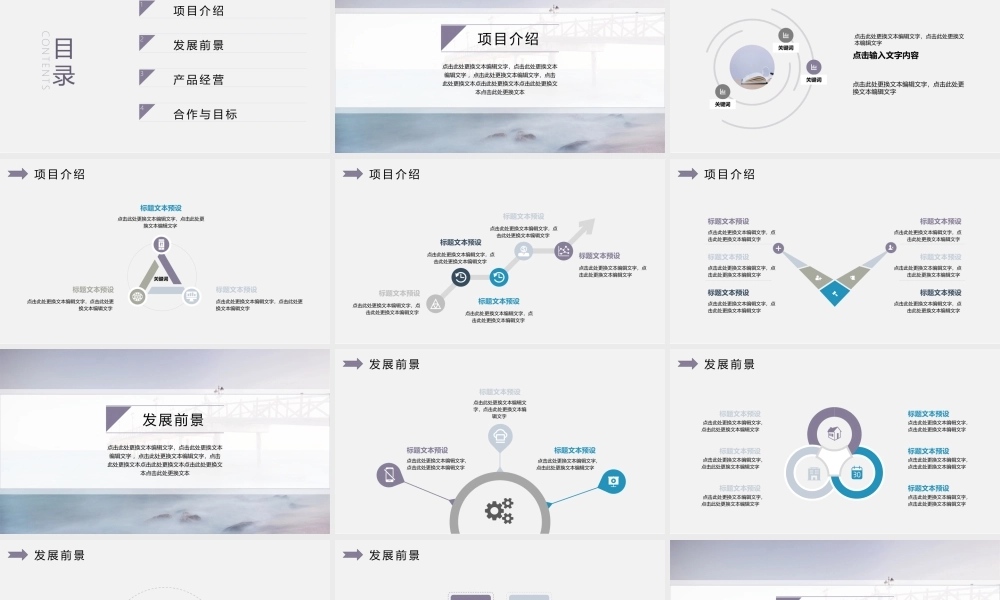 工作总结1 (30).pptx