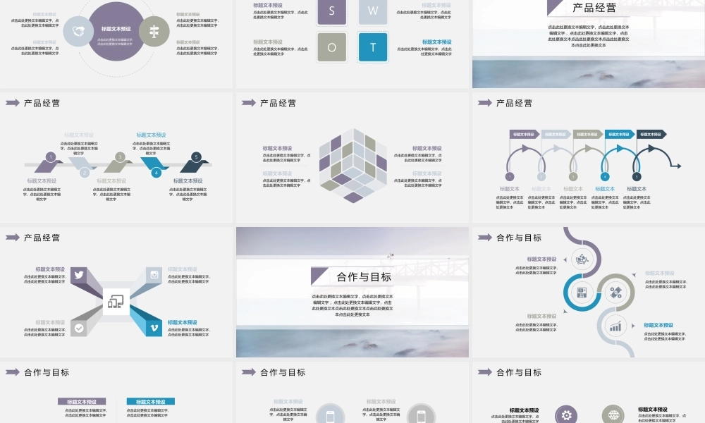 工作总结1 (30).pptx