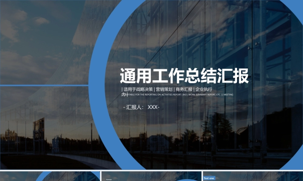 工作总结1 (29).pptx