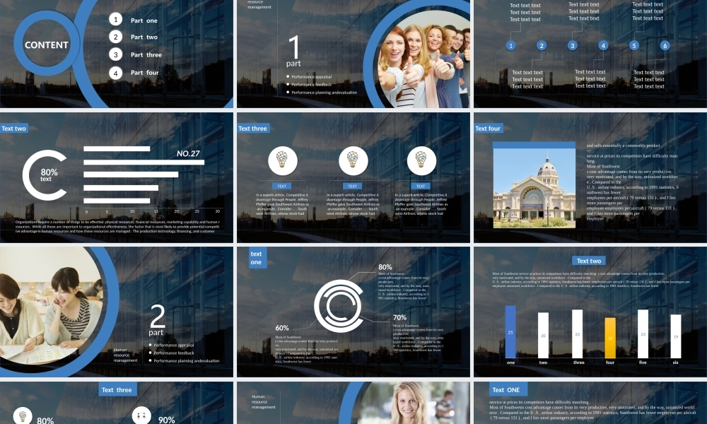 工作总结1 (29).pptx