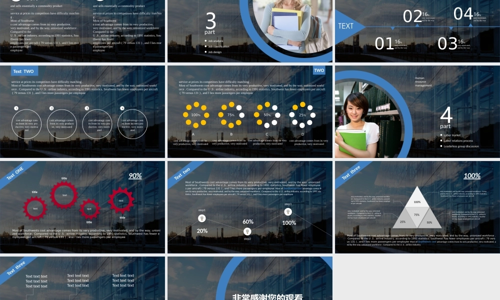 工作总结1 (29).pptx