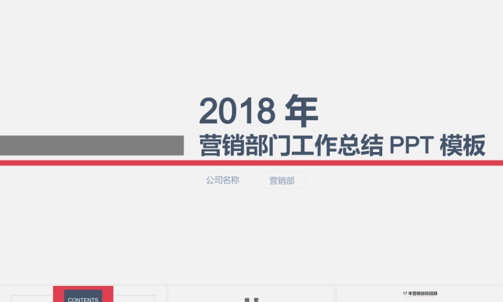 工作总结1 (46).pptx