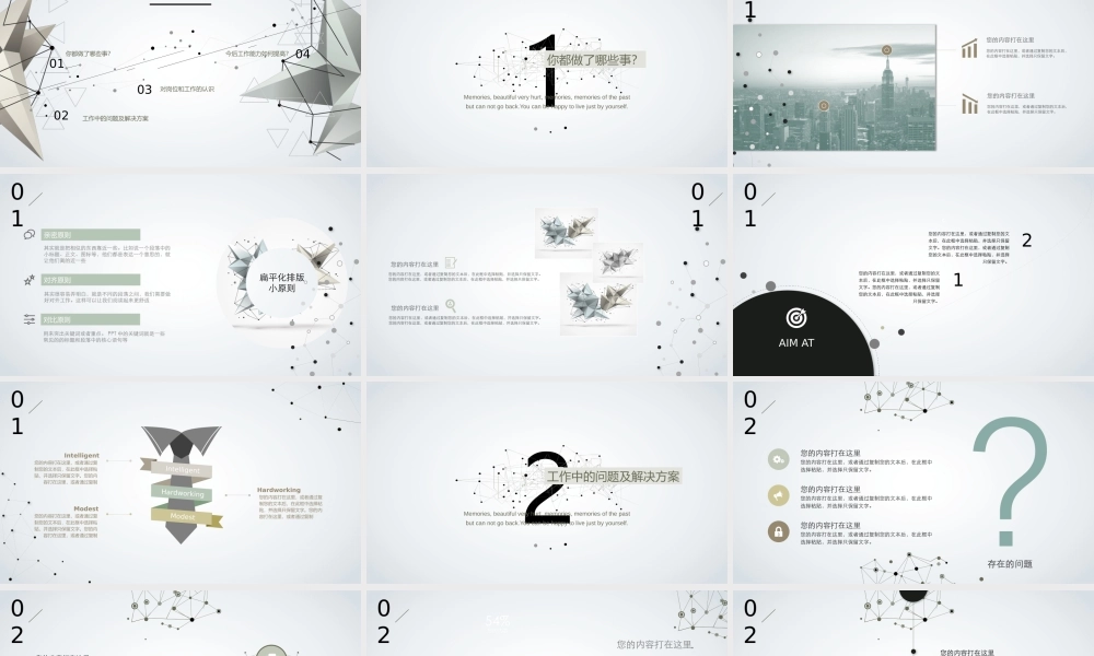 工作总结1 (47).pptx