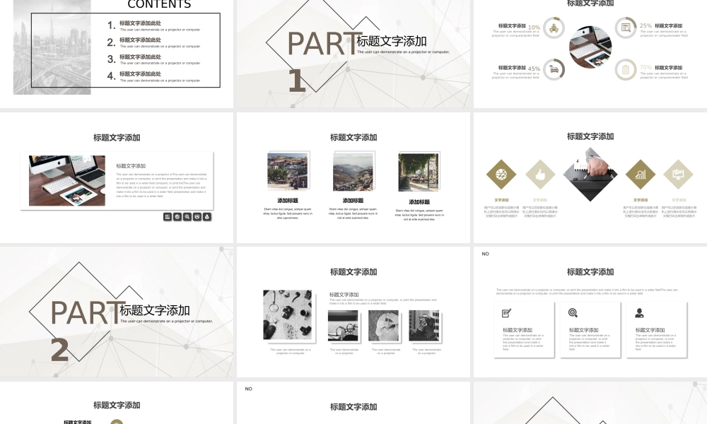 工作总结1 (66).pptx