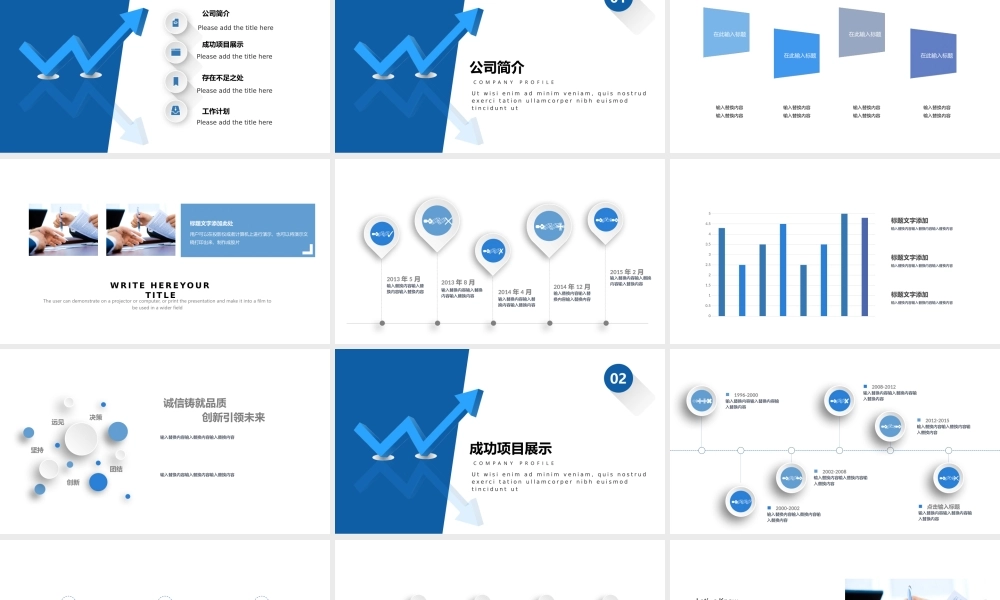工作总结1 (115).pptx