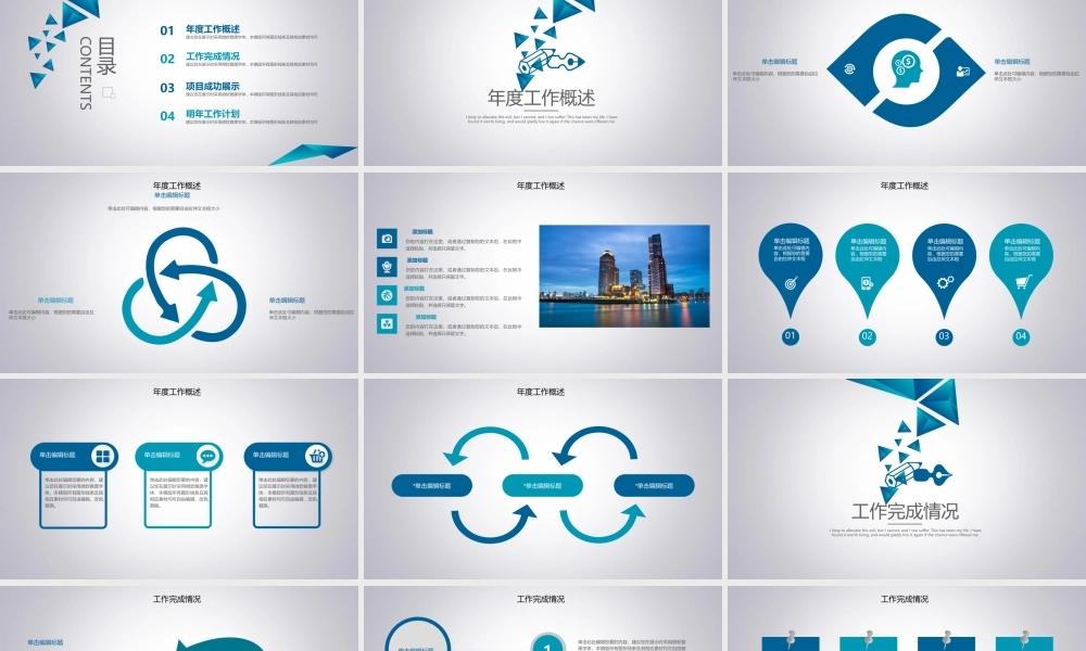 工作总结-亮亮图文旗舰店 (12).pptx