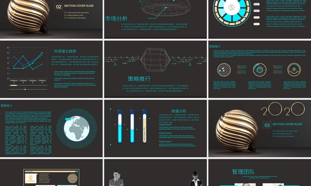 工作总结-亮亮图文旗舰店 (62).pptx
